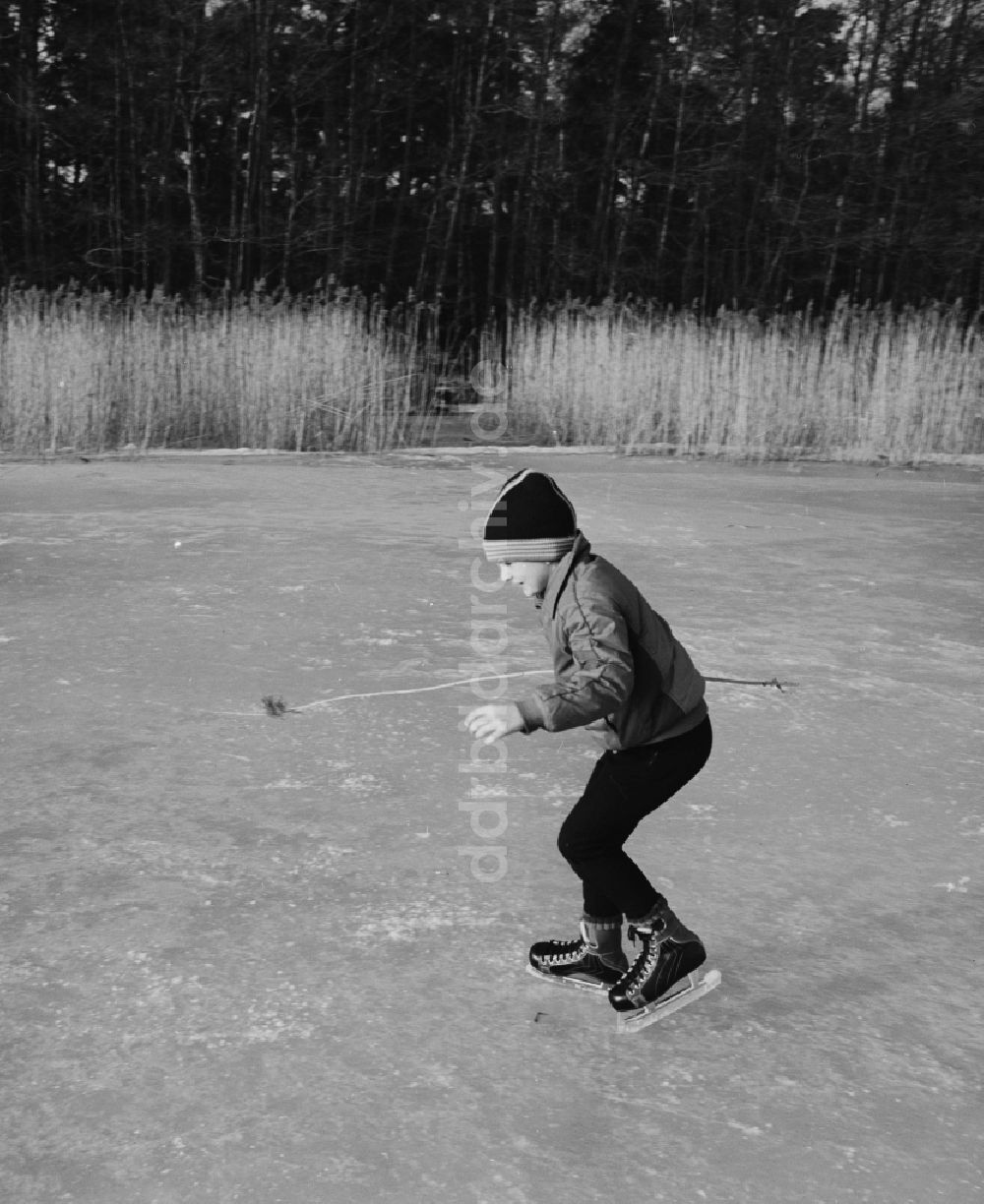 DDR-Bildarchiv: Grünheide (Mark) - Junge beim Schlittschuhlaufen auf einem zugefrorenen See in Grünheide (Mark) im heutigen Bundesland Brandenburg