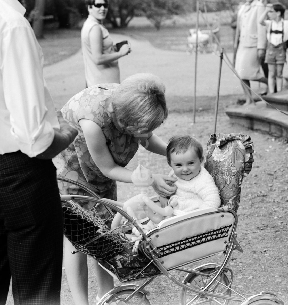 DDR-Bildarchiv: Potsdam - Junge Familie mit Kleinkind und Kinderwagen bei einem Spaziergang durch den Park Sanssouci in Potsdam in Brandenburg in der DDR