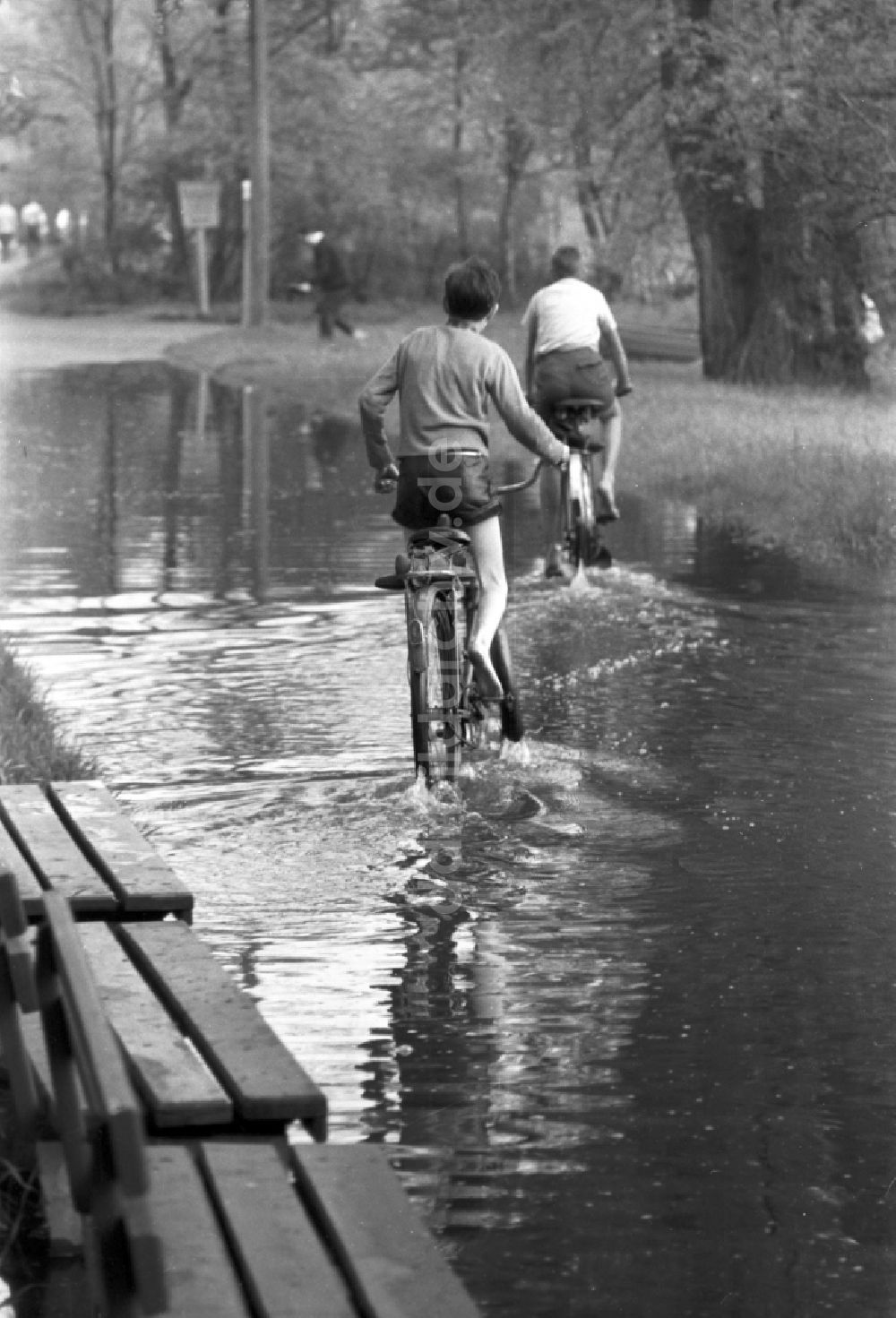 DDR-Fotoarchiv: Dessau - 2 Jungen fahren mit ihren Fahrrädern durch eine große Pfütze im Stadtpark in Dessau in Sachsen - Anhalt