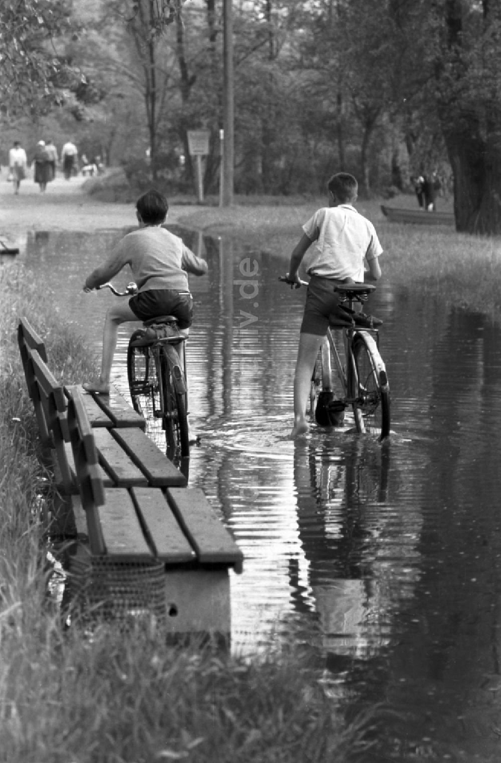 Dessau: 2 Jungen fahren mit ihren Fahrrädern durch eine große Pfütze im Stadtpark in Dessau in Sachsen - Anhalt