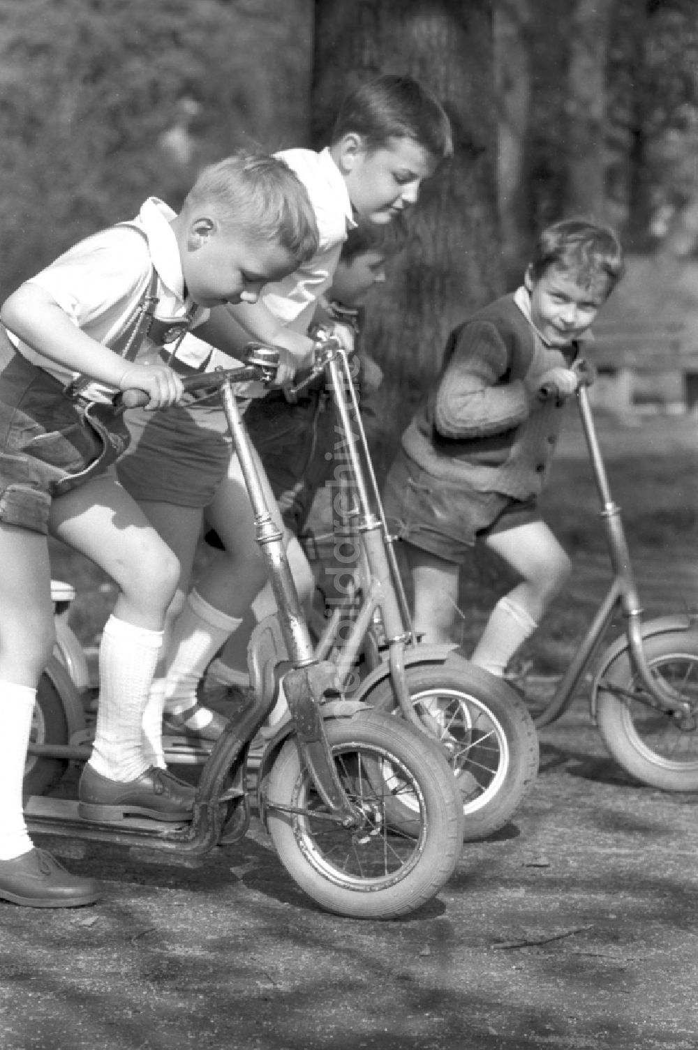 Dessau: 4 Jungen mit ihren Rollern im Stadtpark Dessau in Sachsen - Anhalt