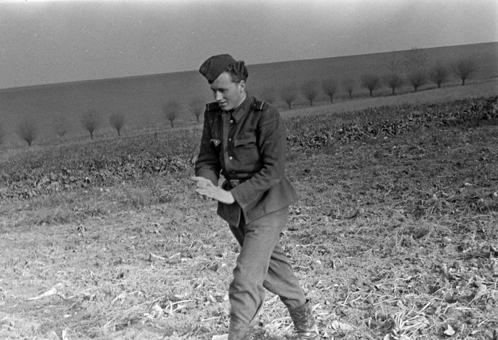 DDR-Bildarchiv: Wachau - Kartoffelernte auf einem Acker mit Soldaten der NVA Nationale Volksarmee in Wachau in der DDR