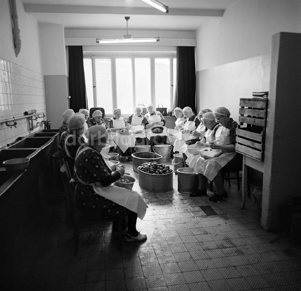 Leipzig: Kartoffelschälen in einem Altenheim in Leipzig im Bundesland Sachsen auf dem Gebiet der ehemaligen DDR, Deutsche Demokratische Republik