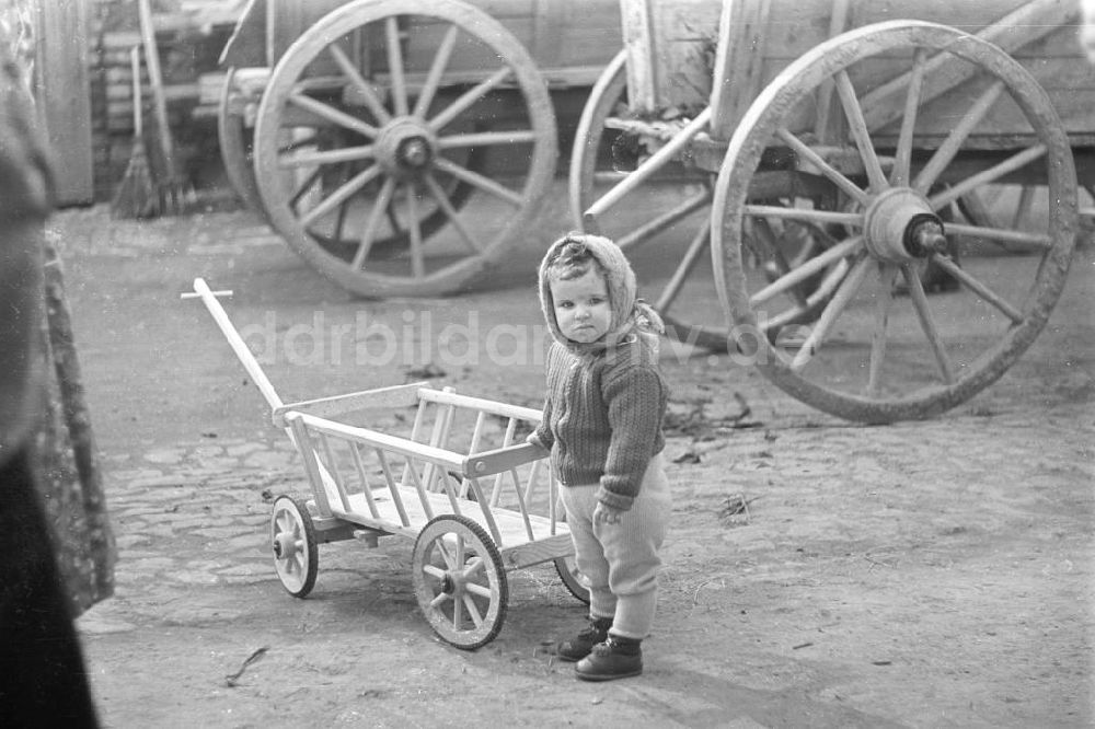 DDR-Bildarchiv: Markkleeberg - Kind mit Bollerwagen, Markkleeberg 1960