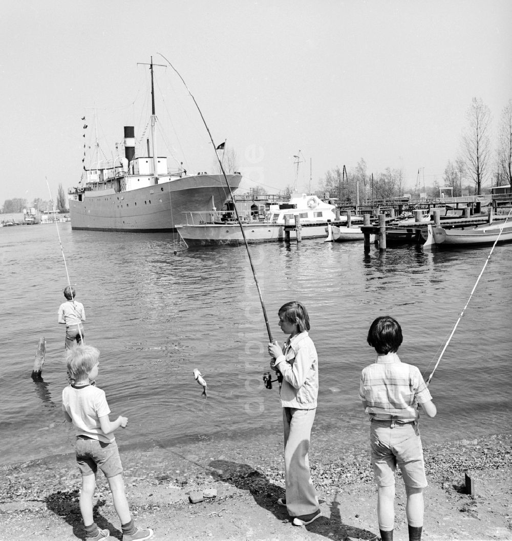 DDR-Fotoarchiv: Rostock - Kinder angeln Fische am Ufer der Unterwarnow in Rostock in Mecklenburg-Vorpommern in der DDR