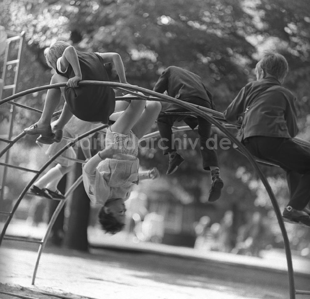 DDR-Fotoarchiv: Berlin - Kinder auf einem Klettergerüst im Tierpark Berlin