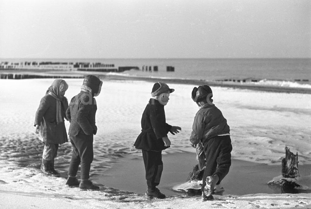 DDR-Fotoarchiv: Prerow - Kinder an einem Strand von Prerow, Ostsee 1957