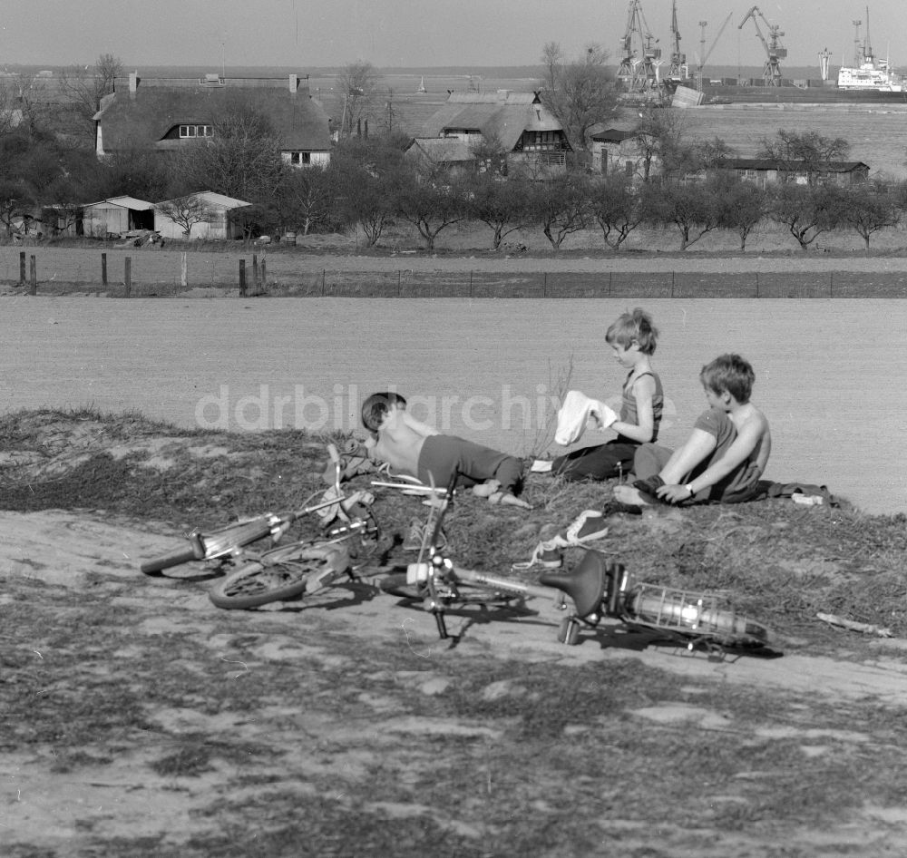 DDR-Bildarchiv: Rostock - Kinder die ihre Fahrräder abgelegt haben sitzen am Feldrand in Rostock in Mecklenburg-Vorpommern in der DDR
