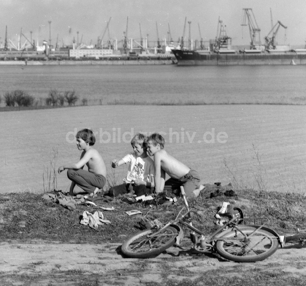 DDR-Fotoarchiv: Rostock - Kinder die ihre Fahrräder abgelegt haben sitzen am Feldrand in Rostock in Mecklenburg-Vorpommern in der DDR