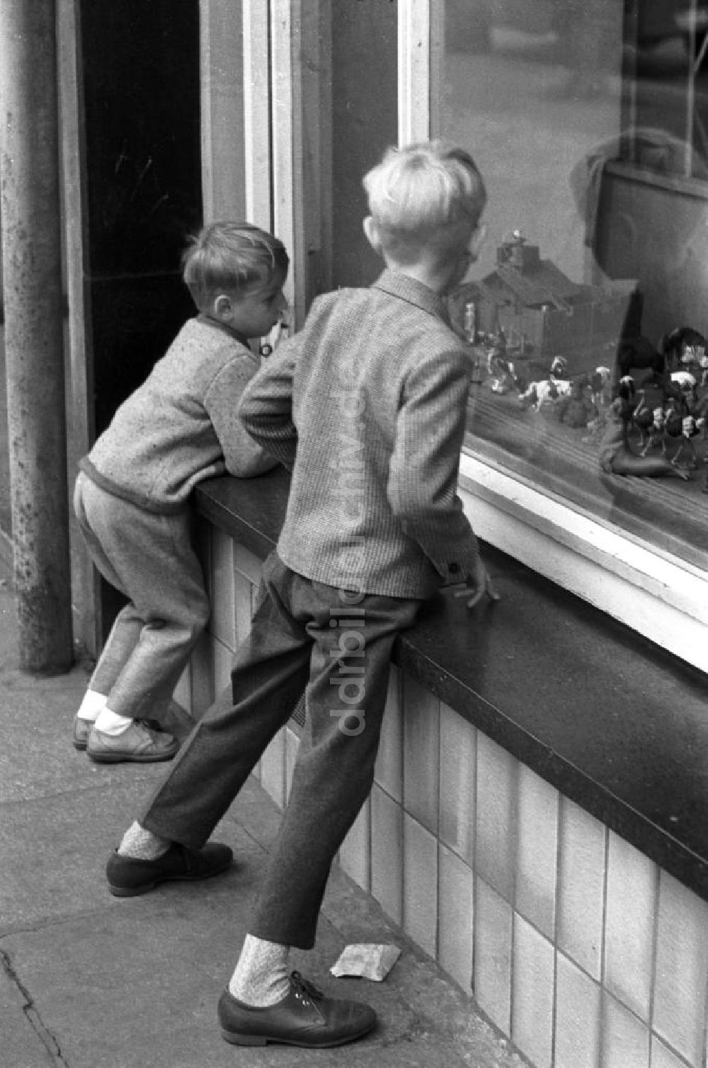 : Kinder am Schaufenster in Dresden