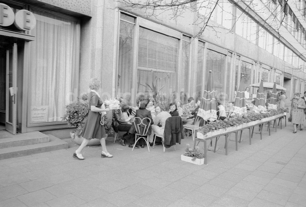 DDR-Fotoarchiv: Berlin - Kleines Café Unter den Linden, heute Cafe Einstein, in Berlin, der ehemaligen Hauptstadt der DDR, Deutsche Demokratische Republik