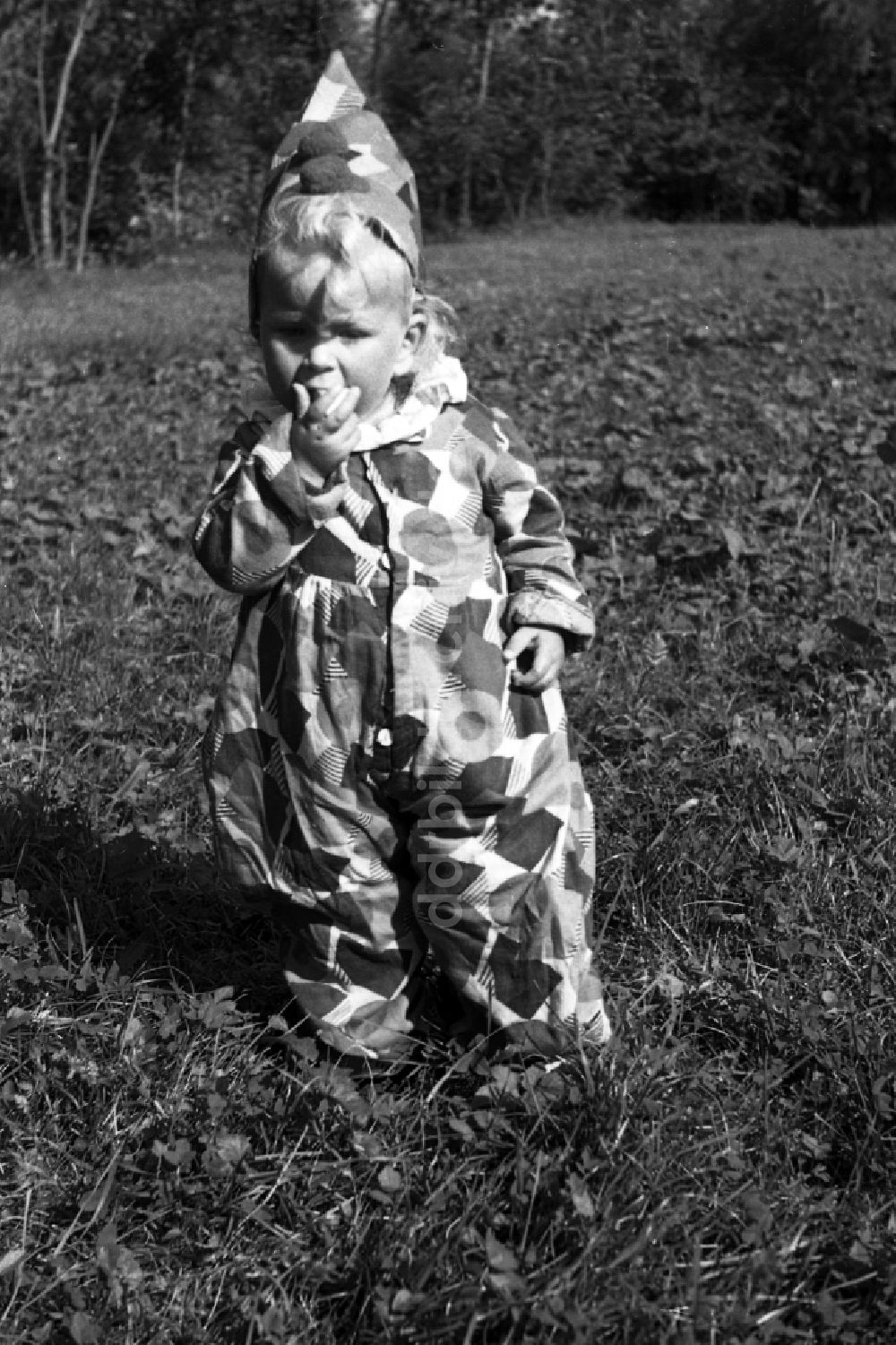 DDR-Bildarchiv: Merseburg - Kleines Kind verkleidet als Clown in Merseburg in Sachsen-Anhalt in Deutschland