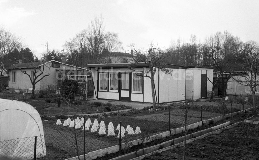 Berlin: Kleingartenanlage im Ortsteil Lichtenberg in Berlin auf dem Gebiet der ehemaligen DDR, Deutsche Demokratische Republik