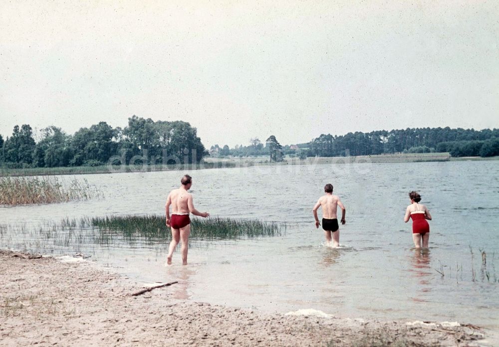 DDR-Fotoarchiv: Klein Trebbow - Kluger See in Klein Trebbow in Mecklenburg-Vorpommern in der DDR