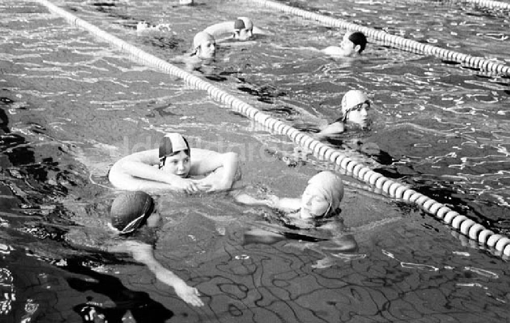 Potsdam (Brandenburg): Kreismeisterschaften im Rettungsschwimmen in Potsdam (Brandenburg) Umschlagnr.: 270 Foto: Schmidtke