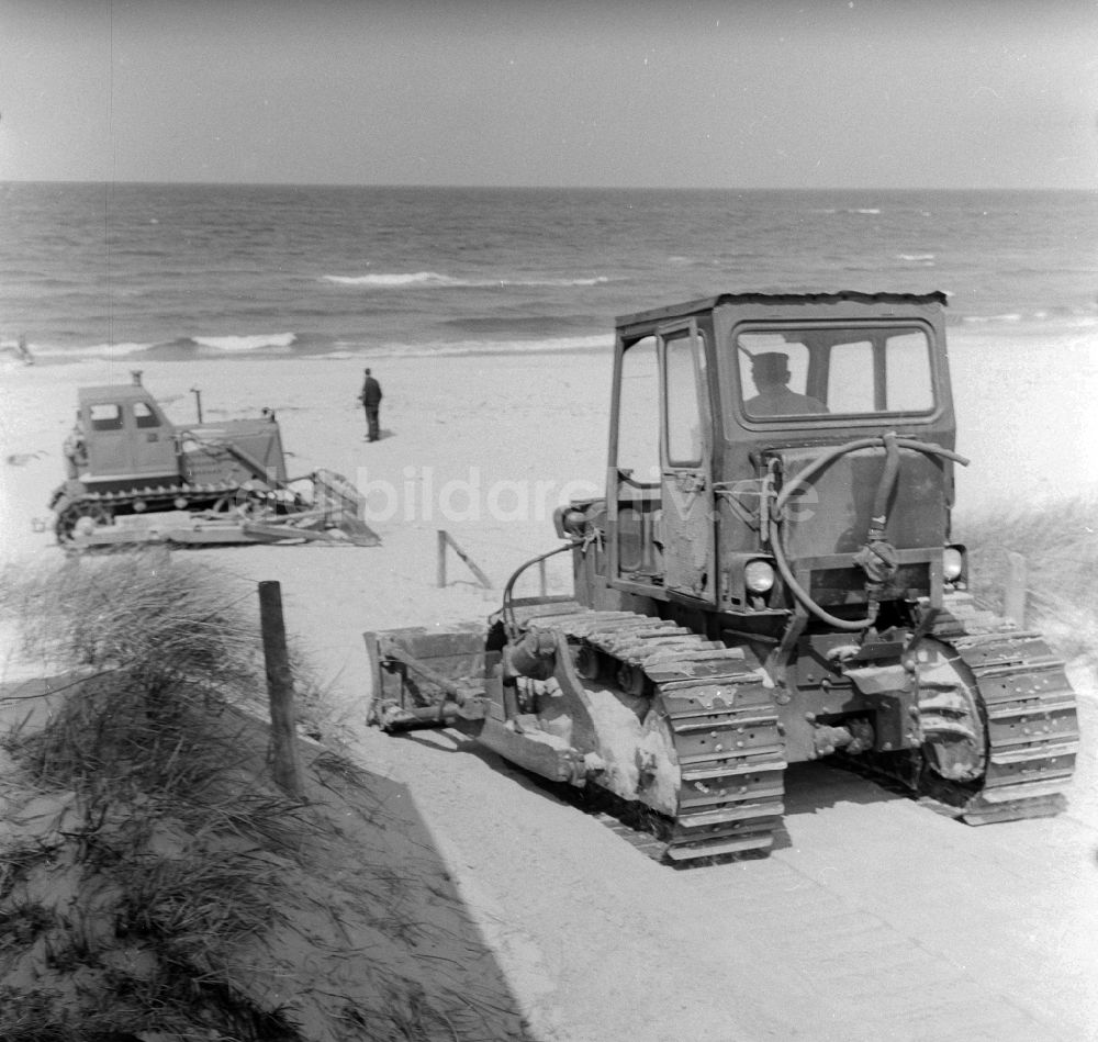 DDR-Bildarchiv: Ahrenshoop - Küstenschutz am Strand im Ostseebad Ahrenshoop in Mecklenburg-Vorpommern in der DDR
