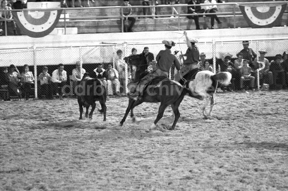 DDR-Bildarchiv: Havanna - Kuba / Cuba - Havanna, Rodeo Nacional 1972