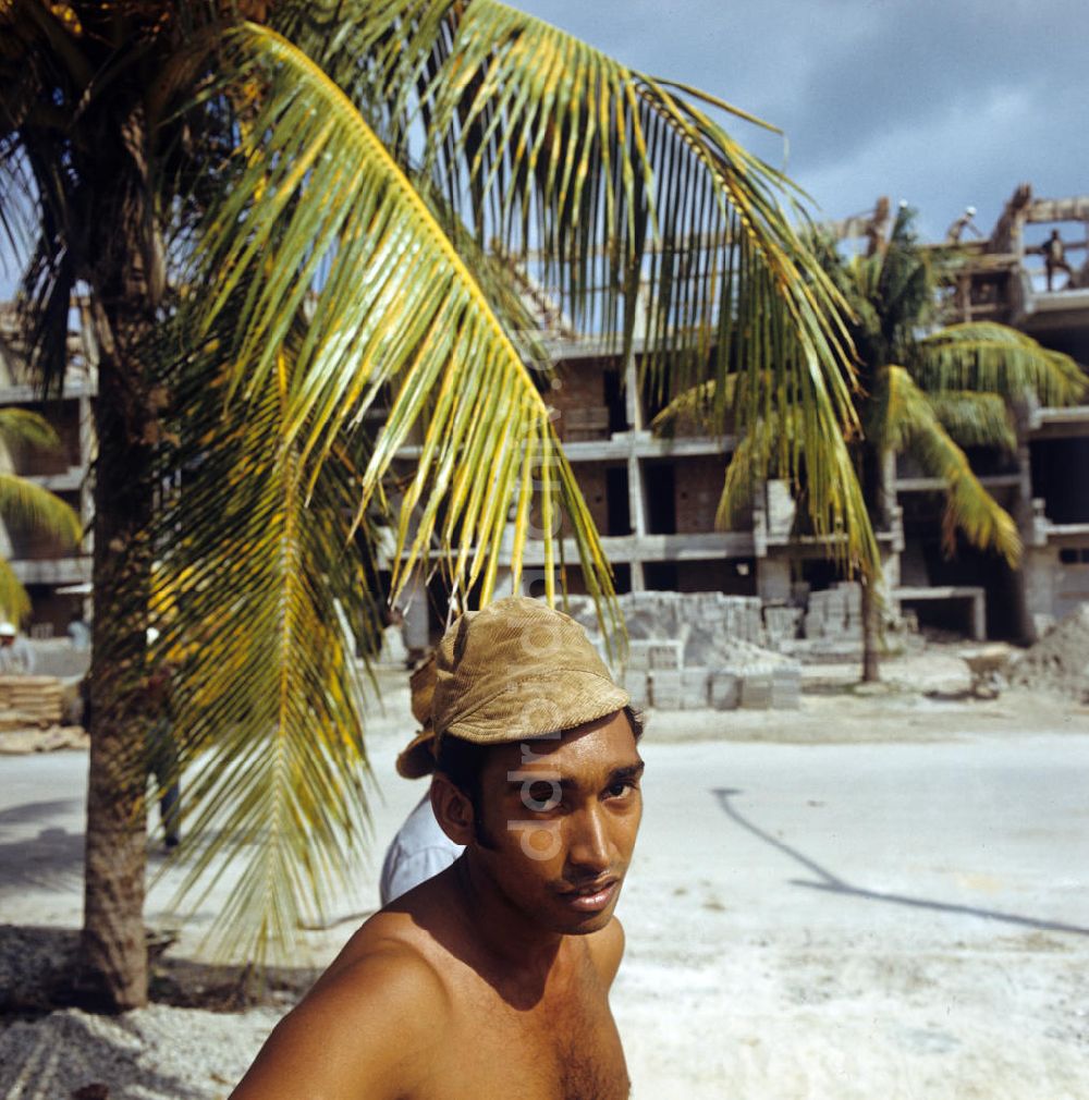 DDR-Fotoarchiv: Havanna - Kuba / Cuba - Plattenbau unter Palmen