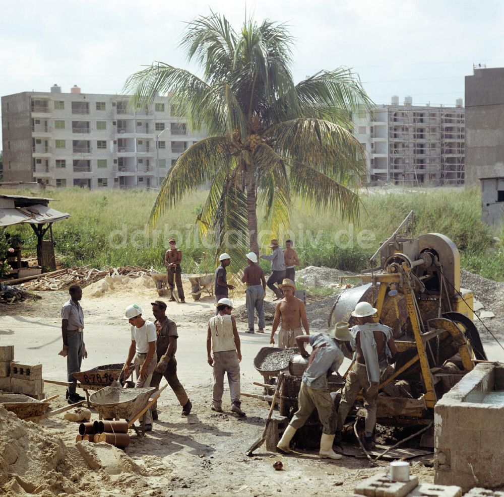 Havanna: Kuba / Cuba - Plattenbau unter Palmen