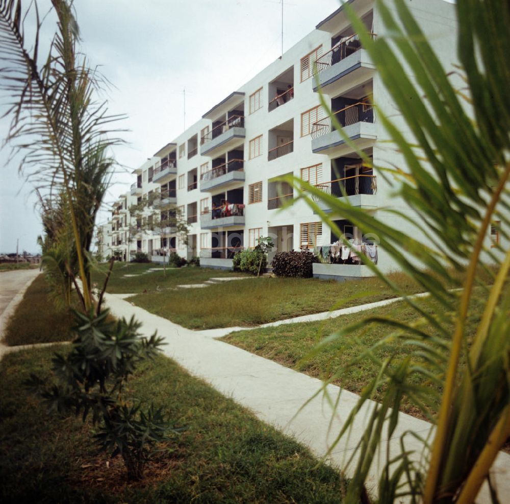 DDR-Fotoarchiv: Havanna - Kuba / Cuba - Plattenbau unter Palmen