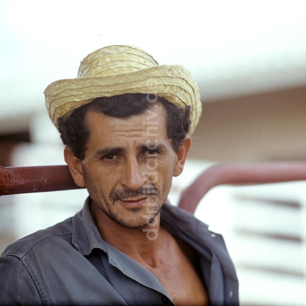 DDR-Fotoarchiv: Camagüey - Kuba / Cuba - Rinderzucht in Camagüey
