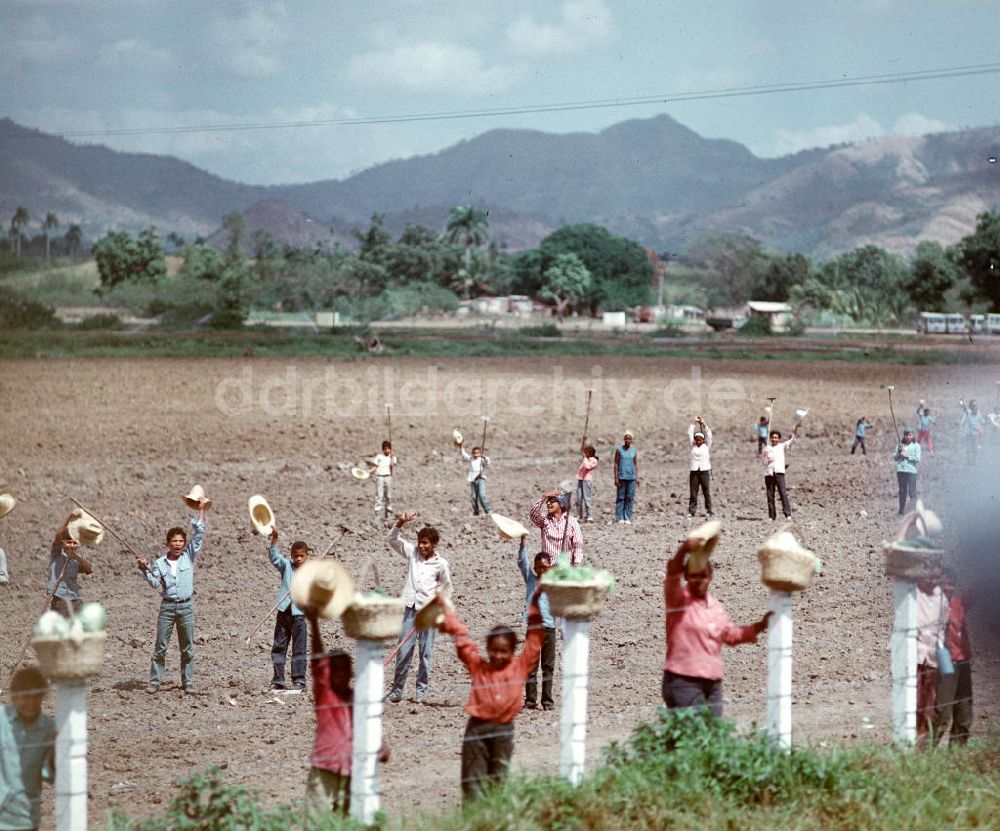 DDR-Fotoarchiv: Ceiba del Agua - Kuba / Cuba - Staatsbesuch Honecker 1974 - Empfang