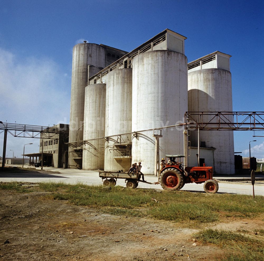 Nuevitas: Kuba / Cuba - Zementfabrik in Nuevitas