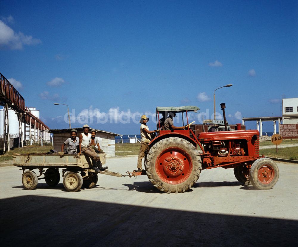 DDR-Fotoarchiv: Nuevitas - Kuba / Cuba - Zementfabrik in Nuevitas