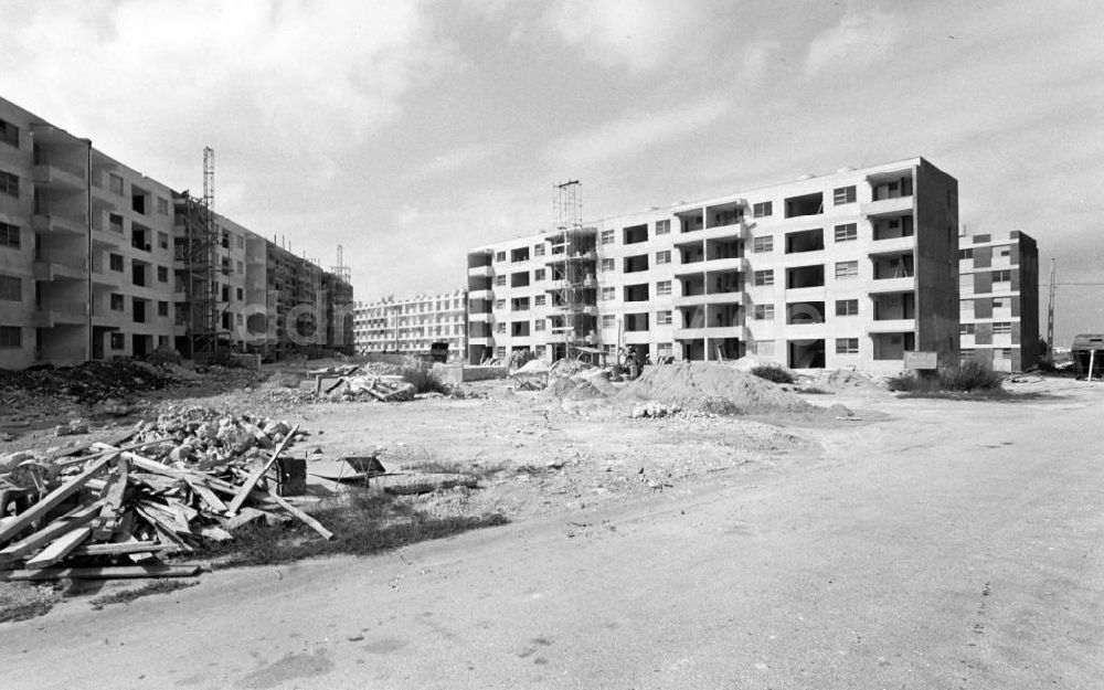 DDR-Bildarchiv: Havanna - Kuba historisch - Plattenbau unter Palmen Havanna 1972