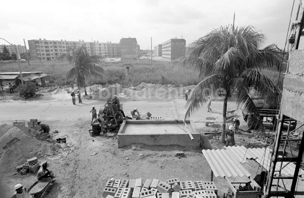 DDR-Bildarchiv: Havanna - Kuba historisch - Plattenbau unter Palmen Havanna 1972