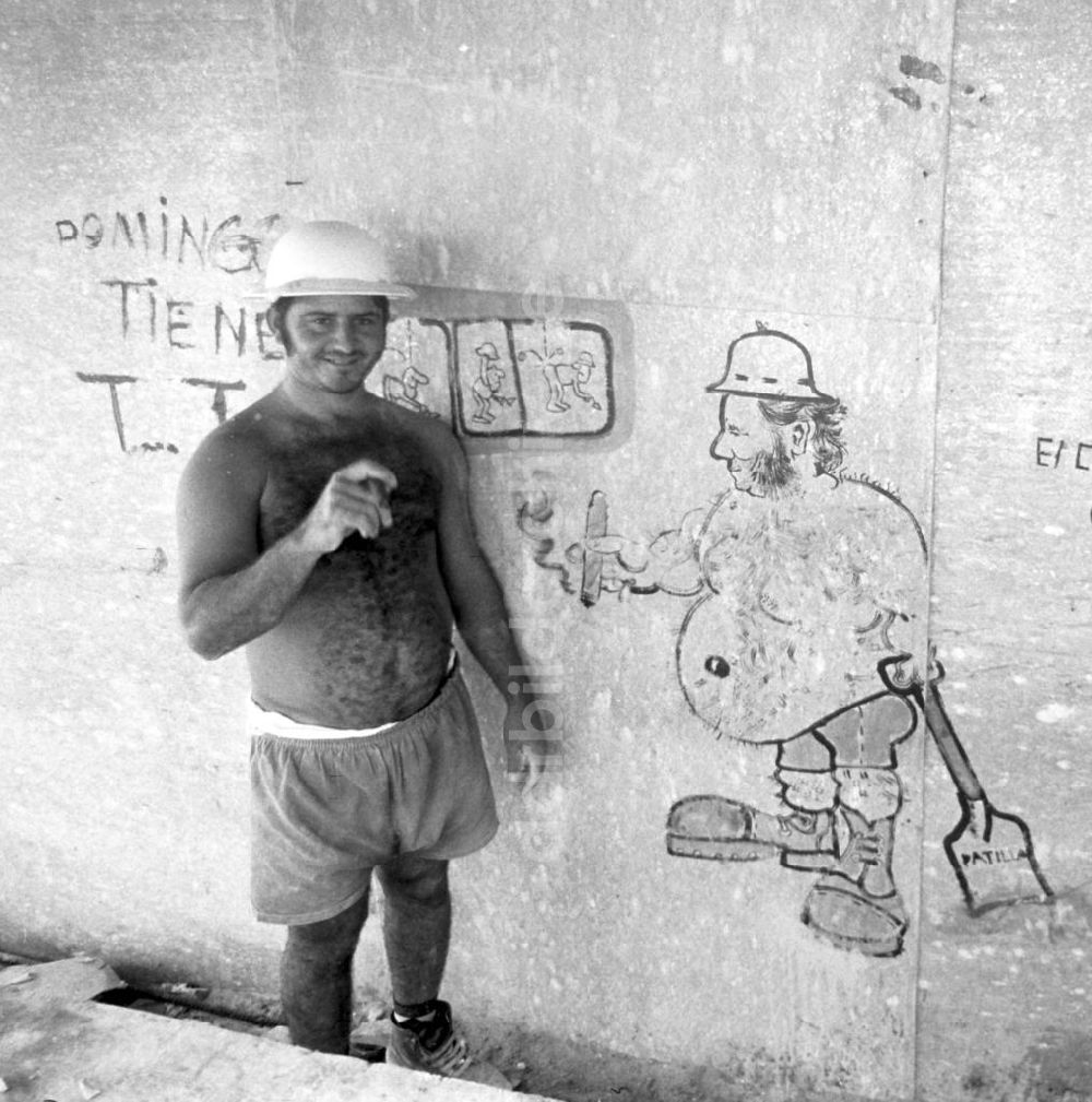 DDR-Fotoarchiv: Havanna - Kuba historisch - Plattenbau unter Palmen Havanna 1972