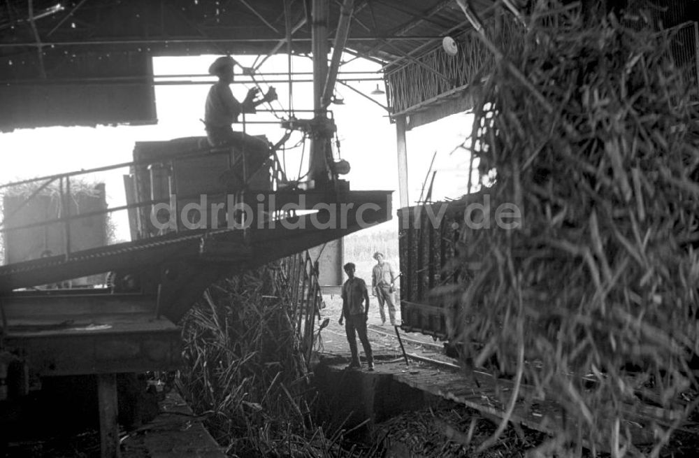 DDR-Bildarchiv: Cienfuegos - Kuba historisch - Zuckerfabrik in Cienfuegos 1972