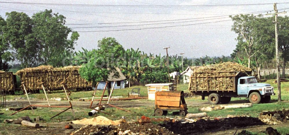 DDR-Fotoarchiv: Cienfuegos - Kuba historisch - Zuckerfabrik in Cienfuegos 1972
