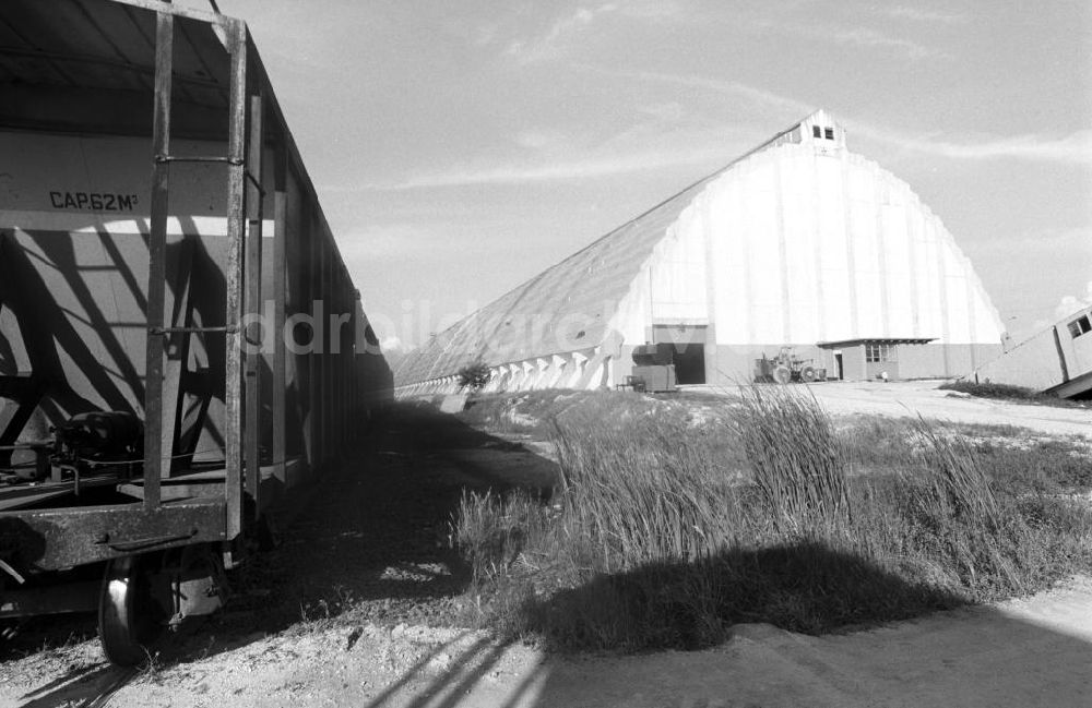 DDR-Bildarchiv: Cienfuegos - Kuba historisch - Zuckerlagerhalle in Cienfuegos 1972