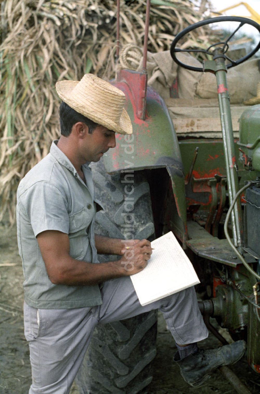 Cienfuegos: Kuba historisch - Zuckerrohrernte 1972
