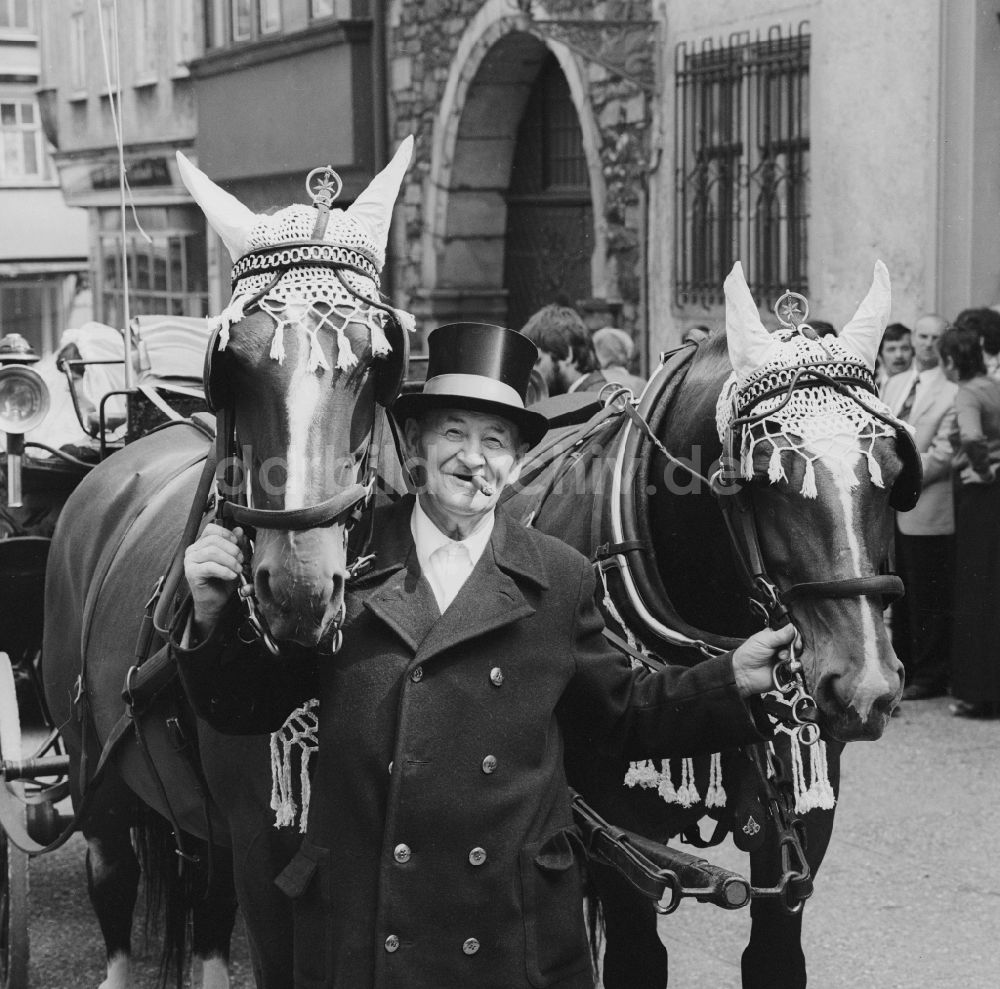Eisenach: Kutscher mit zwei geschmückten Pferden in Eisenach in Thüringen in der DDR