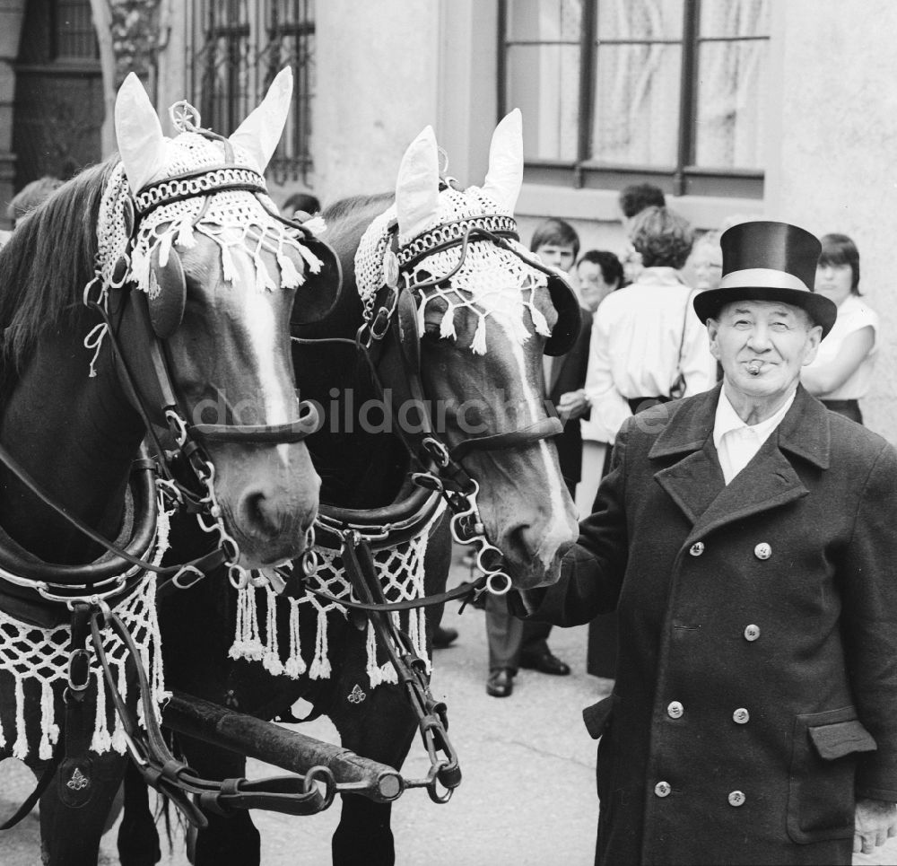 DDR-Bildarchiv: Eisenach - Kutscher mit zwei geschmückten Pferden in Eisenach in Thüringen in der DDR