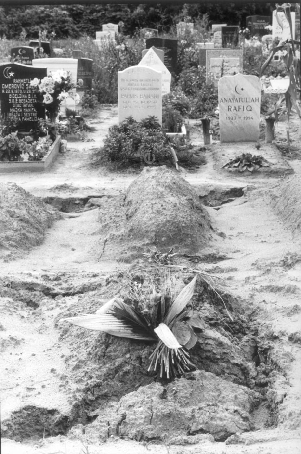 DDR-Fotoarchiv: Gatow - Landschaftsfriedhof Gatow Grabstelle von Emira Beganovic 12.09.1994