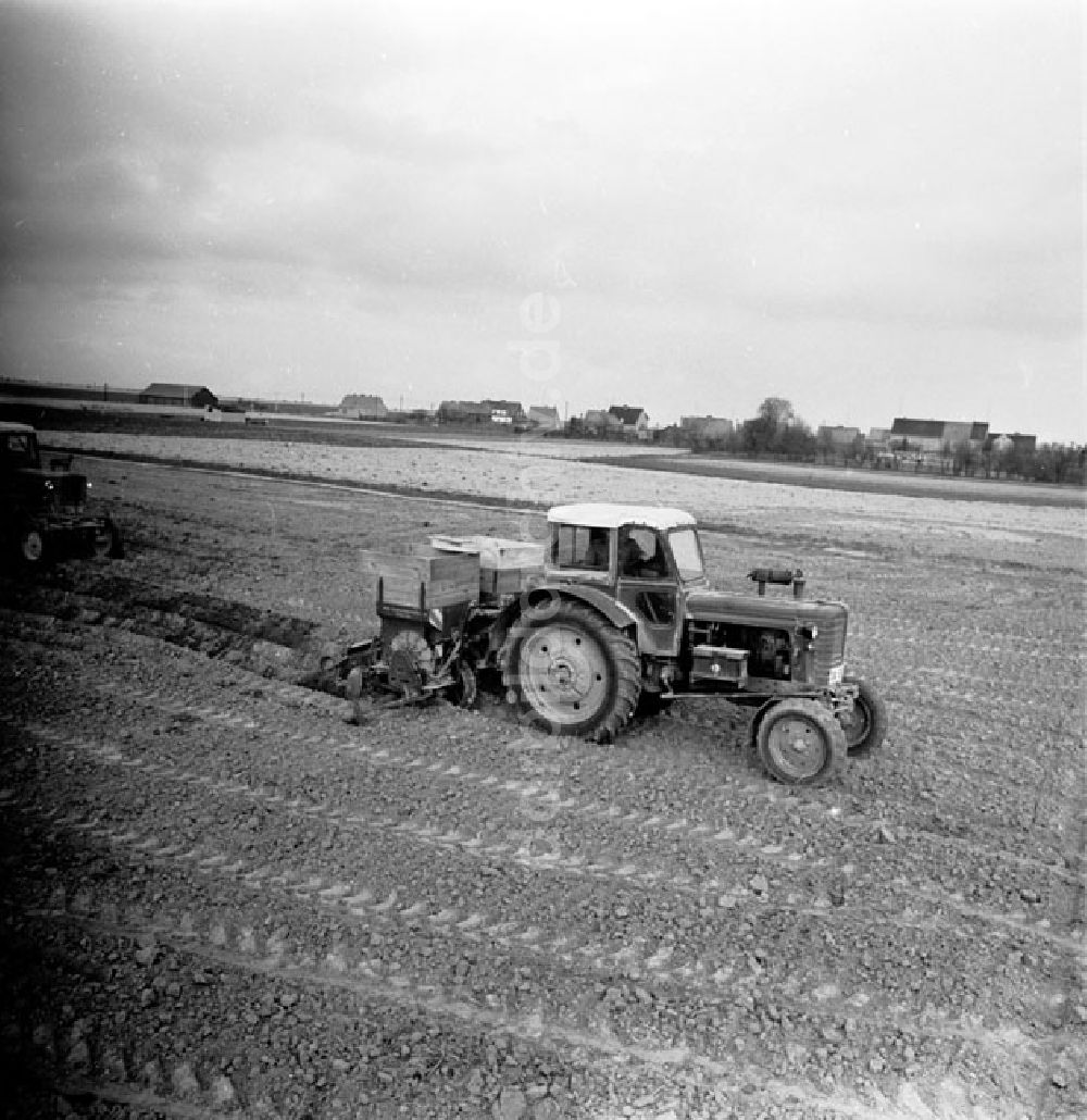DDR-Bildarchiv: Jüterbog - Landwirtschaft bei Jüterbog