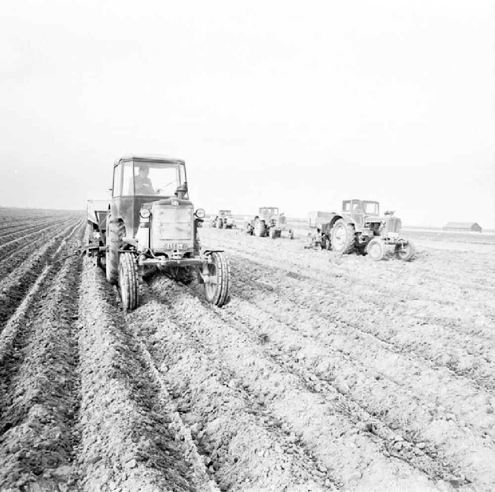 DDR-Fotoarchiv: Jüterbog - Landwirtschaft bei Jüterbog