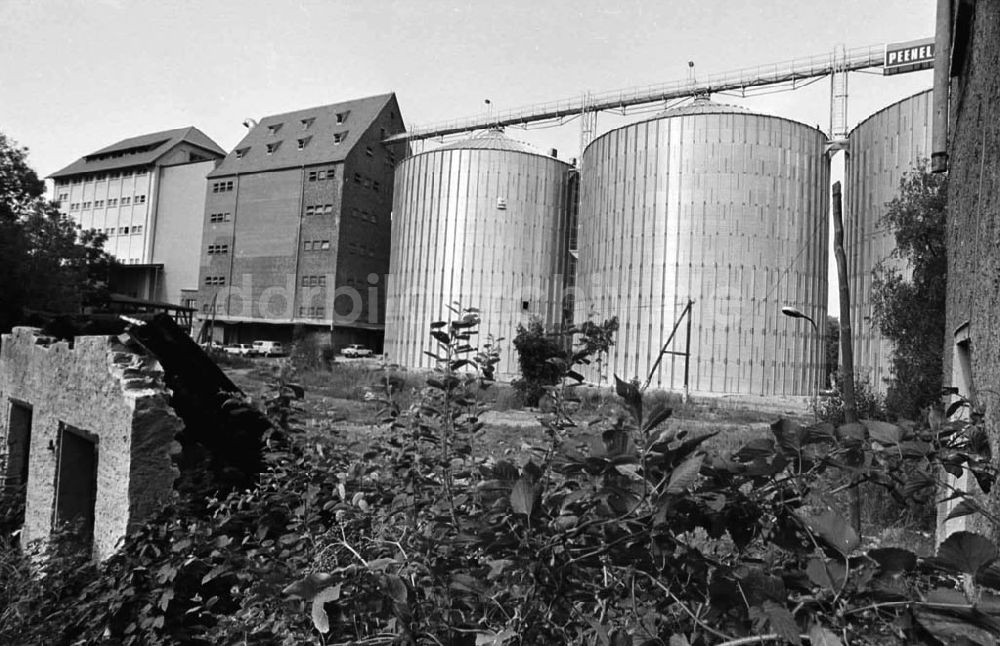 DDR-Fotoarchiv: Demmin - Landwirtschaftsreportagen im Kreis Demmin 5.8. 92 Lange Umschlag 1090