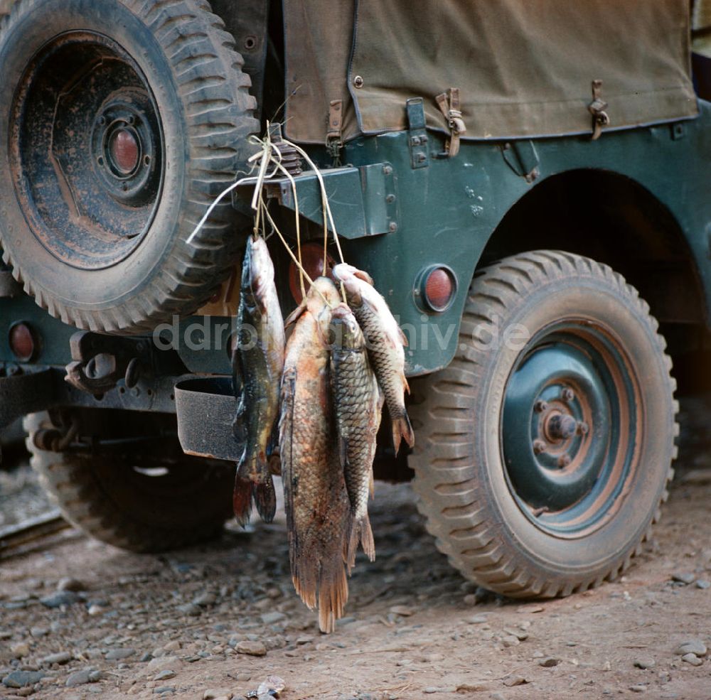 Nam Ngum: Laos historisch - Fischfang 1976