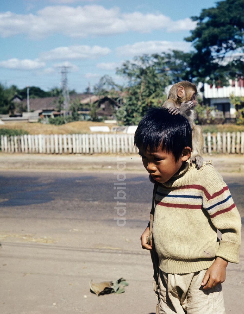 Vientiane: Laos historisch - Junge mit Affe 1976