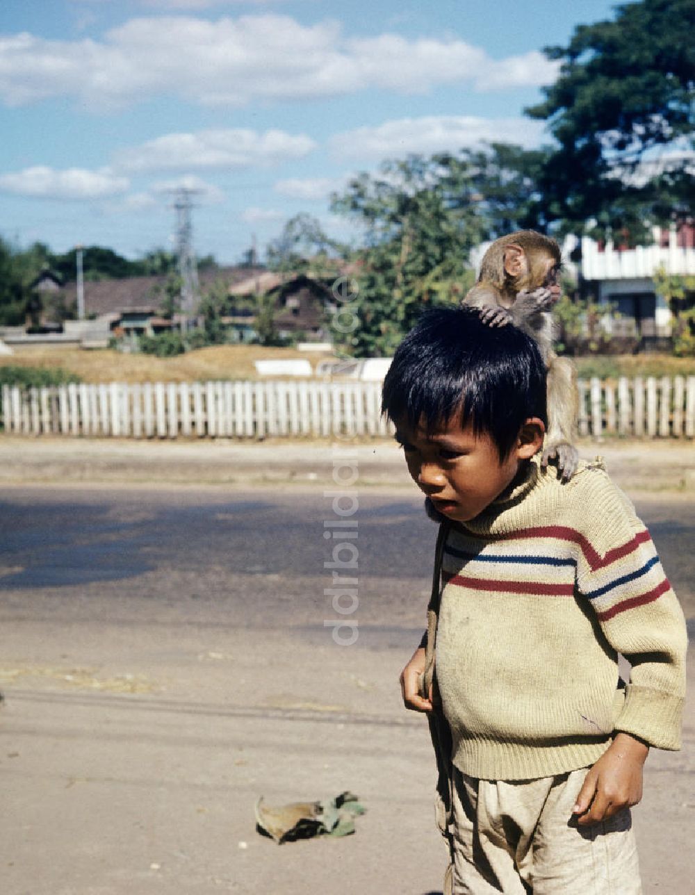 DDR-Bildarchiv: Vientiane - Laos historisch - Junge mit Affe 1977