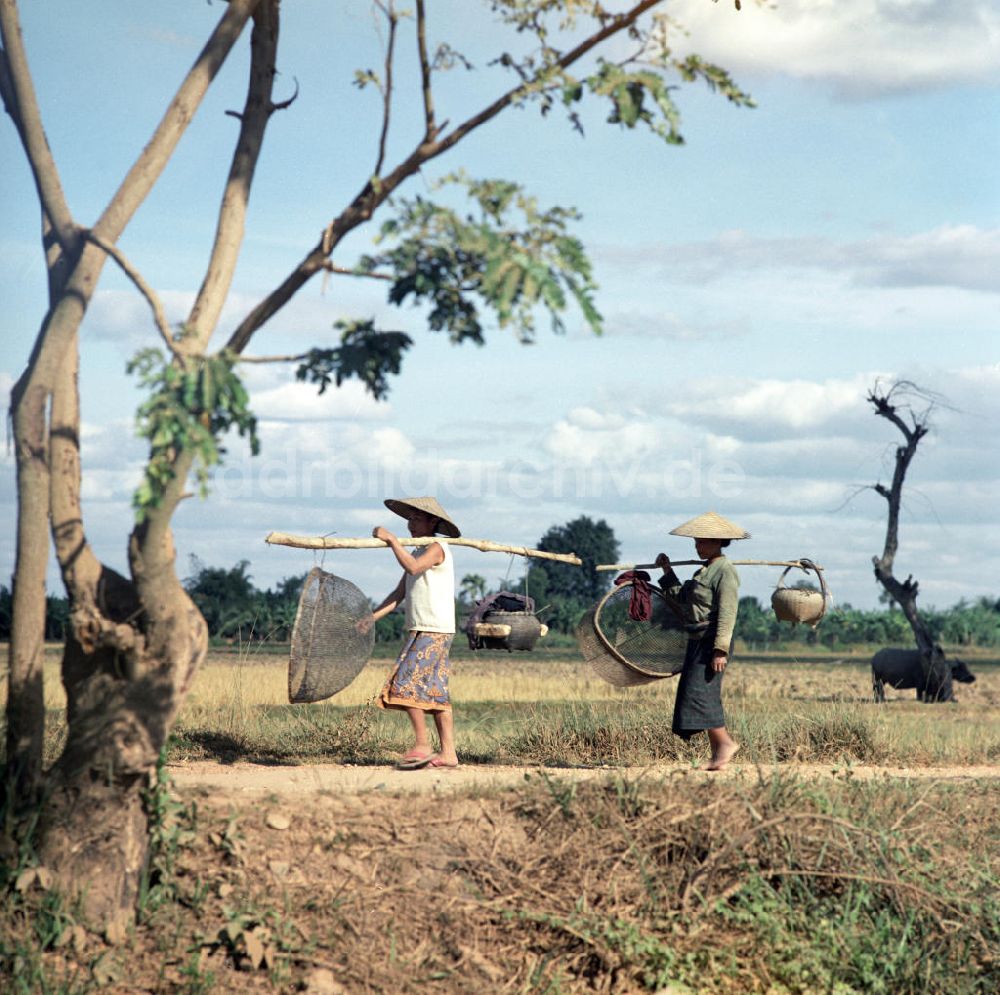 DDR-Bildarchiv: Nam Ngum - Laos historisch - Korbträgerinnen 1976