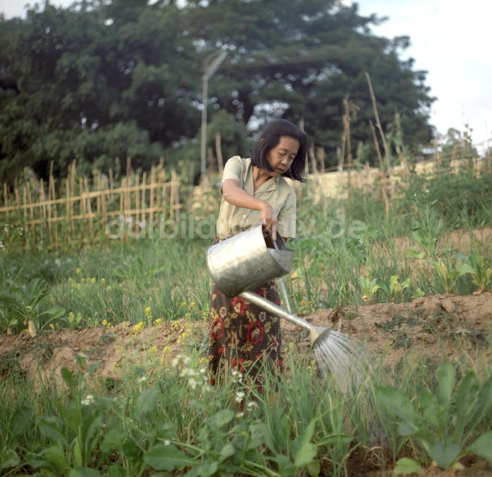 Nam Ngum: Laos historisch - Mekong 1976