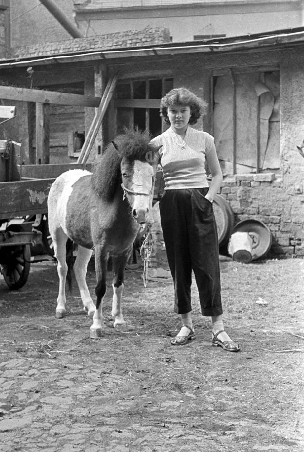DDR-Bildarchiv: Leipzig - Leipzig - Junge Frau mit Pony 1958
