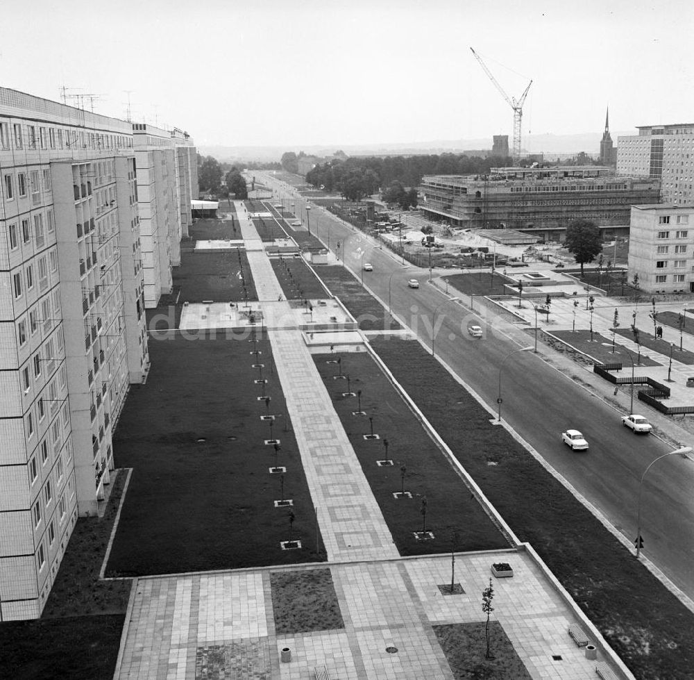 DDR-Fotoarchiv: Schwedt - Lindenallee in Schwedt