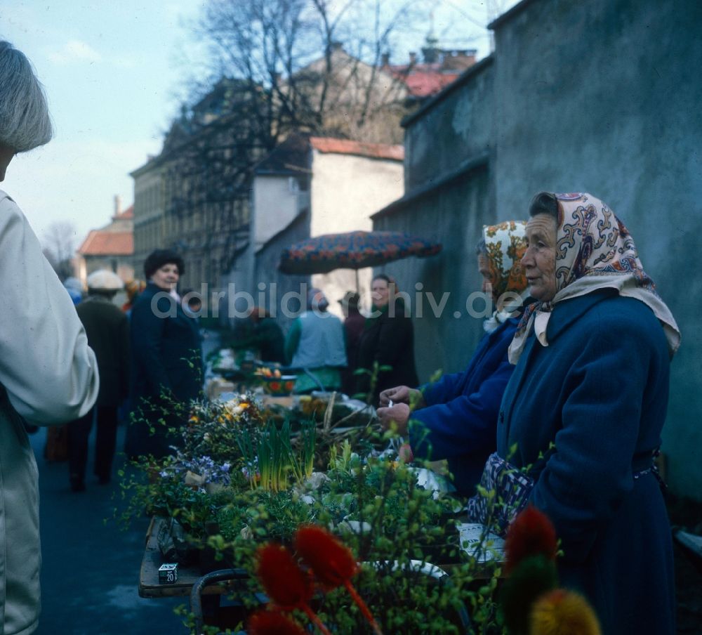 Hoppegarten: Ältere Frauen verkaufen selbstgepflückte Blumen auf einem Markt in Hoppegarten in Brandenburg in der DDR