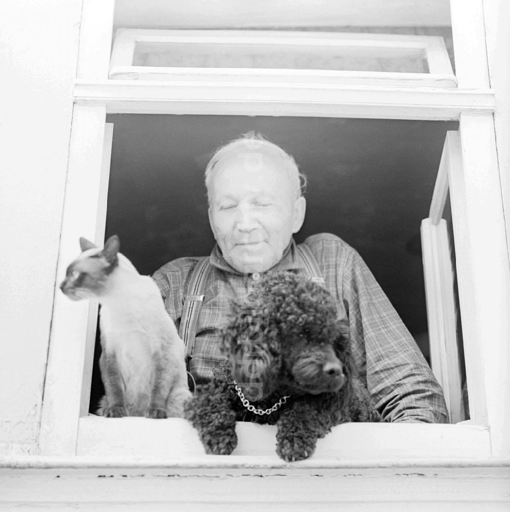 DDR-Fotoarchiv: Eisenach - Älterer Mann mit Hund und Katze schaut aus dem Fenster in Eisenach in Thüringen in der DDR